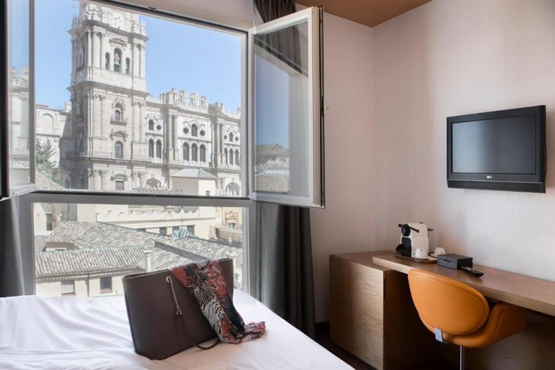 petit palace plaza malaga hotel