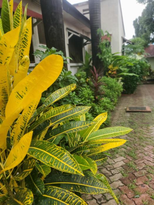 L&J Modern Backpackers Kinondoni,Mwananyamala>>Dar Es Salaam,0 star