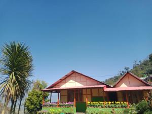 Vamoose Niru,Kalimpong>>Darjeeling,0 star