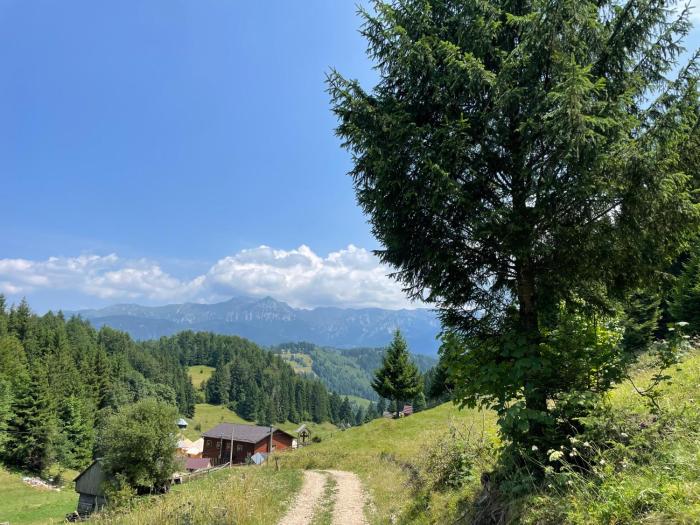 Andolia,Moeciu De Sus>>Brasov,1 star