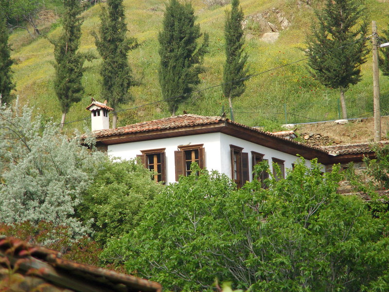 terrace houses sirince fig olive clockmakers and grapevine