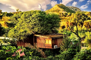 The Tree House Resort,Achrol,5 star