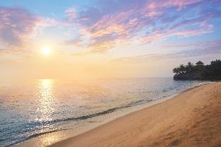 patra anyer