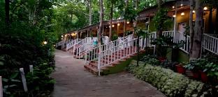 Ratapani Jungle Lodge,,4 star