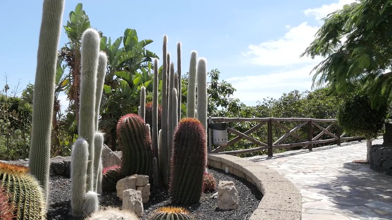 Hotel Rural Finca Salamanca,Las Caletillas>>Guimar,3 star