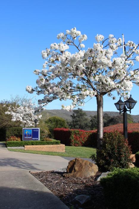 Hume Country Motor Inn,Glenroi>>Albury,4 star