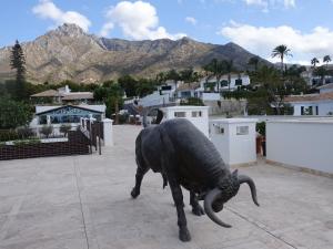 sierra blanca resort spa