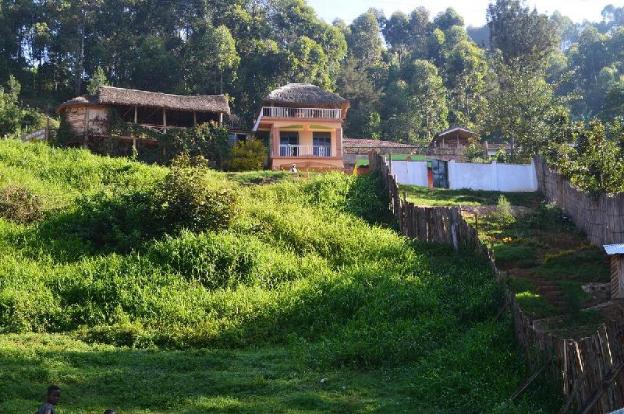 Bunyonyi Gorilla View Lodge