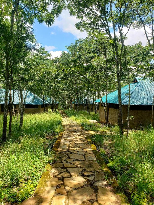 mikumi safari lodge