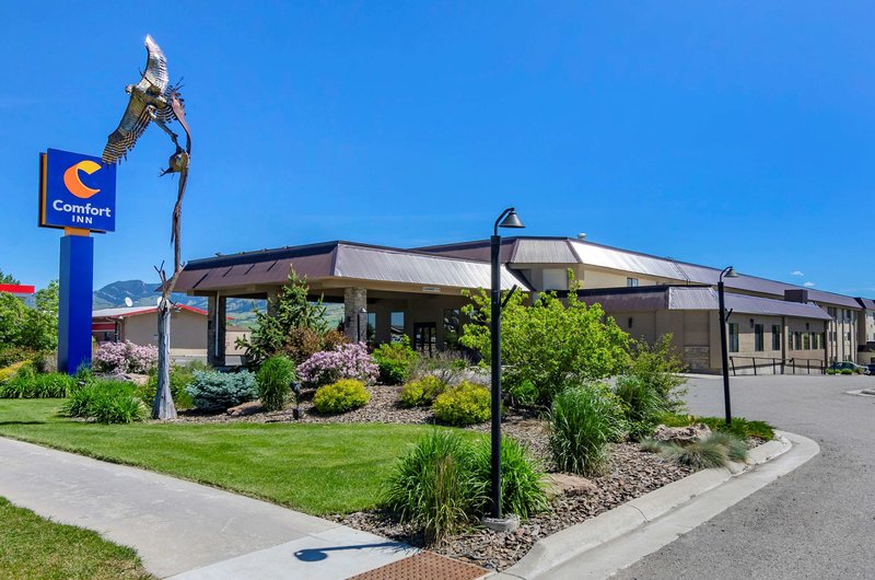 comfort inn bozeman near university