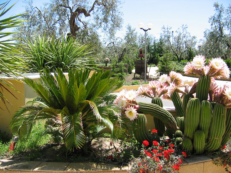 Giardino Degli Ulivi Resort,Barletta>>Bari,4 star