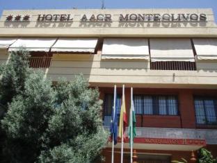 hotel aacr monteolivos