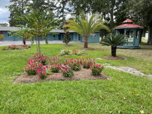 carole motel