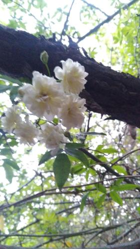 Katie's Cozy Suites,,2 star