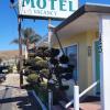 Cypress Tree Motel