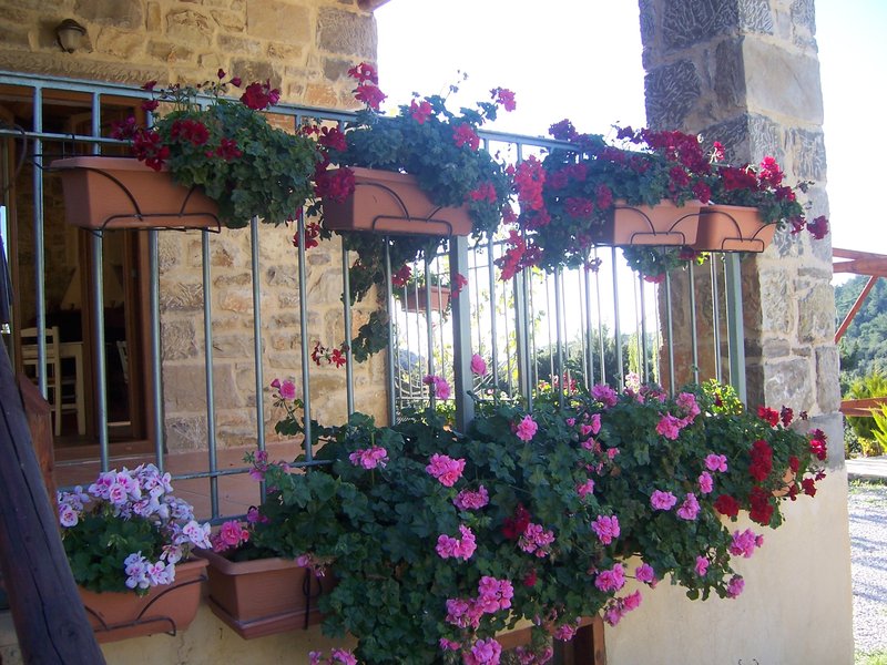 Akros Oreon Hotel,Kato Simi Viannos,3 star