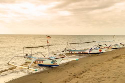lovina beach club and resort
