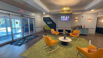 spark by hilton brandon