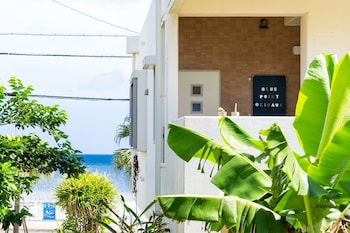 blue point okinawa