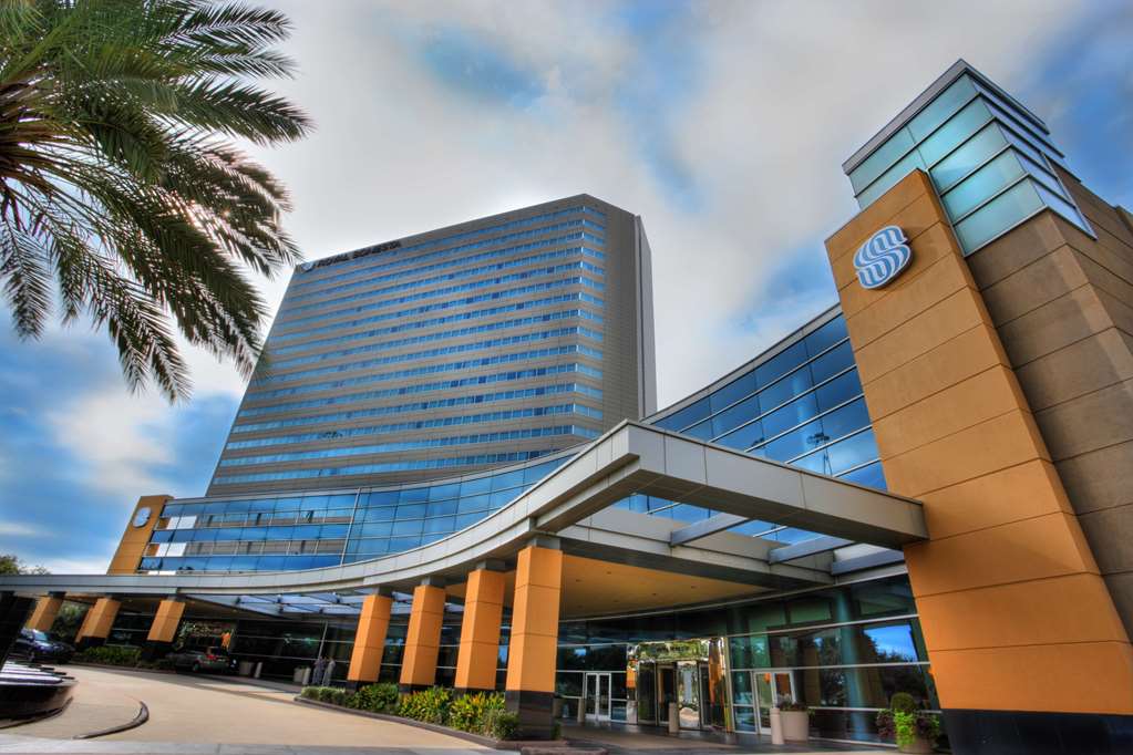 the royal sonesta houston galleria