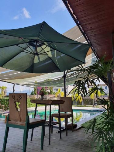 Palm Hug Hotel,,2 star