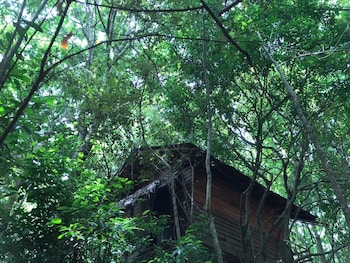 inn on the tree eco resort sigiriya