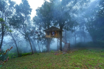 Nature Zone Munnar - A Real Jungle Resort - Authentic Tree House And Premium Tents,Pallivasal,4 star