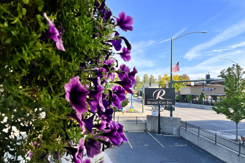 resort city inn coeur dalene