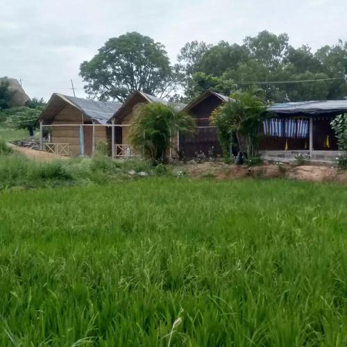 Rambo11 Homestay Hampi,Gangavathi>>Bellary,0 star
