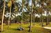 Neptune Village Beach Resort And Spa,Near Diani Beach,4 star