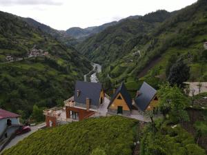 pulera suit bungalow