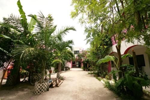 hotel los arcos holbox