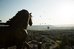 Cappadocia Cave Resort And Spa - Special Class,Goreme>>Cappadocia,4 star