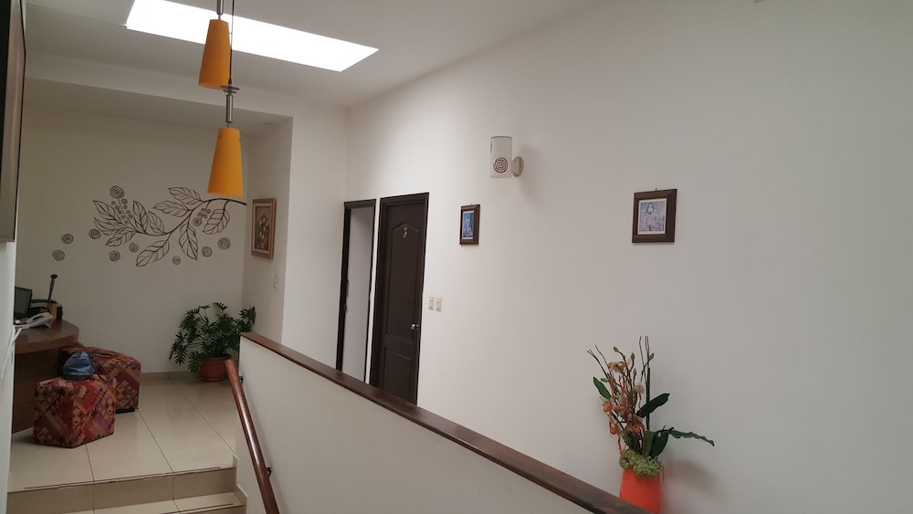 hotel arbol de suenos