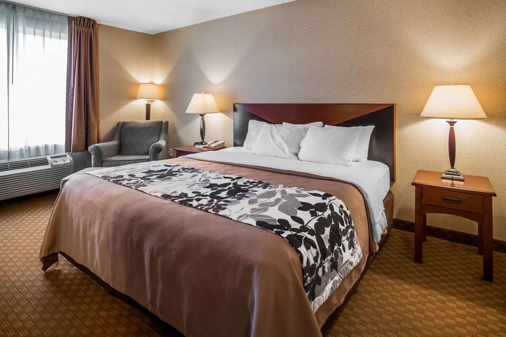 rodeway inn and suites