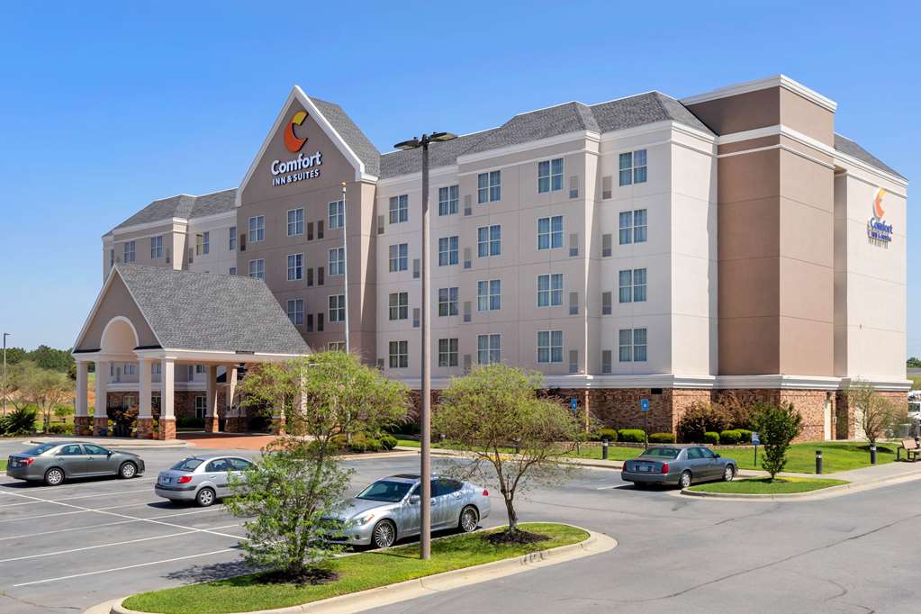 Comfort Inn & Suites,Cordele>>Arabi,2.5 star