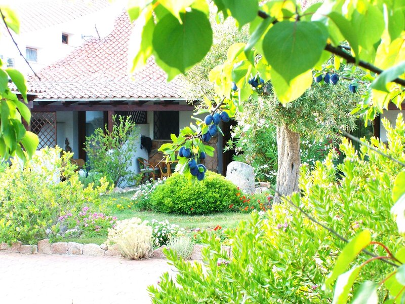 club hotel ragno doro