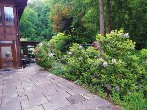 Siegerlandhotel Haus Im Walde,Freudenberg>>Bonn,3 star