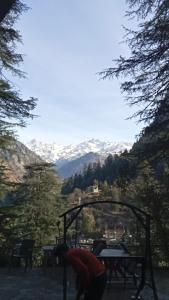 hotel deep forest kasol