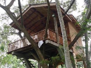 wilpattu tree house