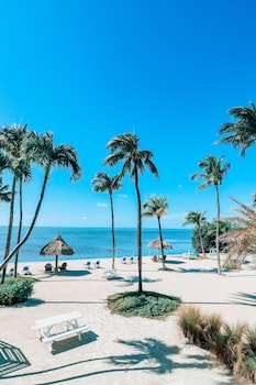 Drop Anchor,Key Largo>>Islamorada,3 star