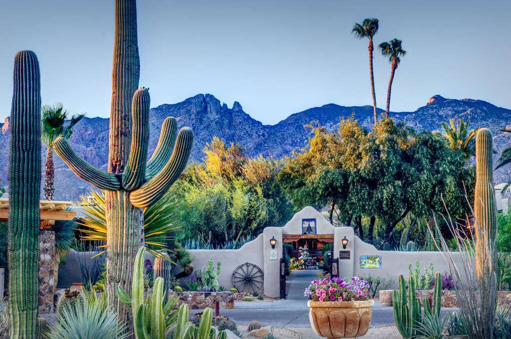 Hacienda Del Sol Guest Ranch Resort,Casas Adobes>>Arizona,4 star