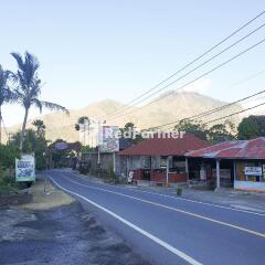 Arlina's Bungalow & Restaurant