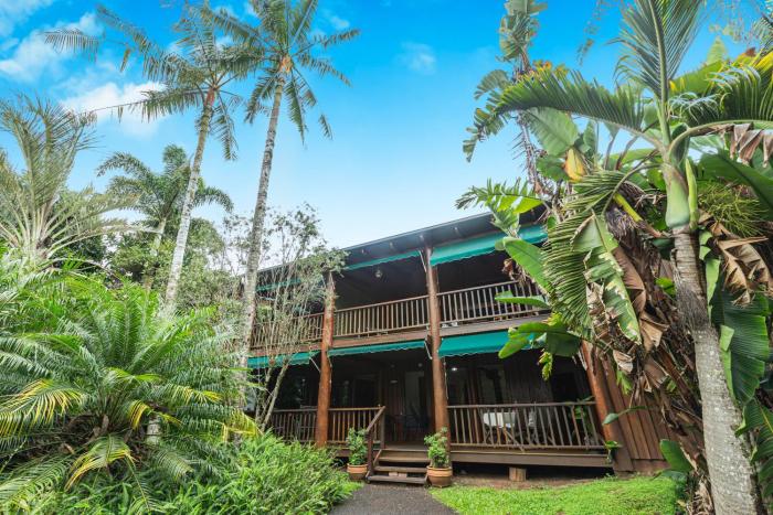 Atherton Blue Gum,Atherton Tablelands>>Atherton,4 star