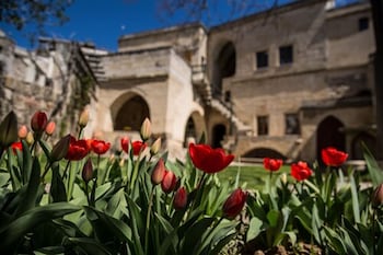 les maisons de cappadoce