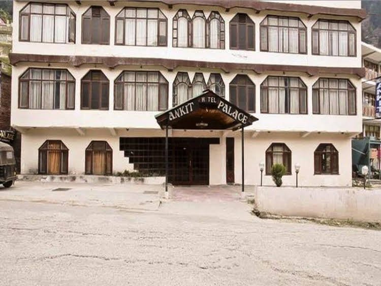 hotel ankit palace