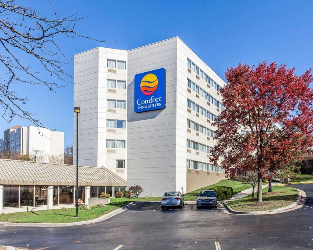 comfort inn and suites bwi airport