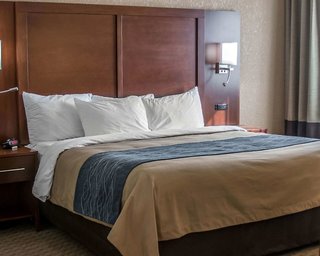 comfort inn detroit warren sterling heights