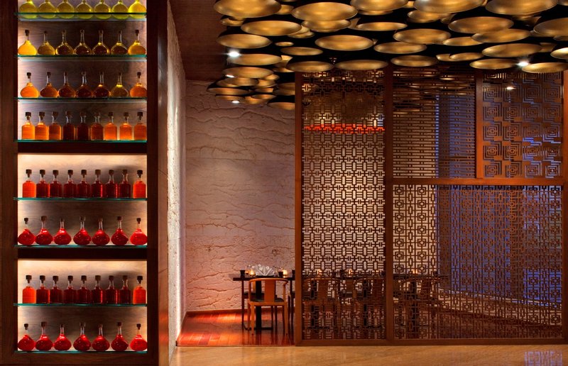 Radisson Blu Hotel New Delhi Dwarka,Dwarka,5 star