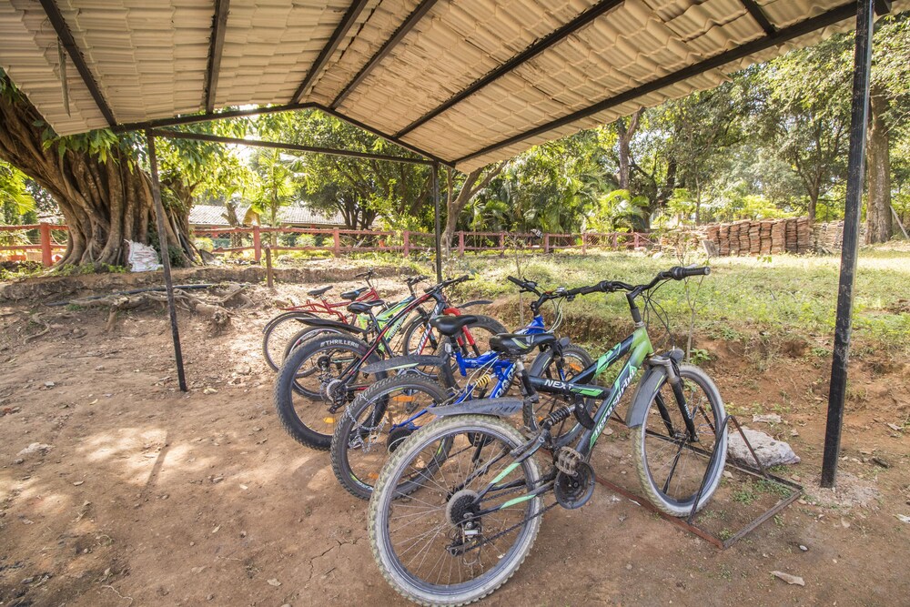 Ark Resorts,Pachmarhi>>Hoshangabad,3 star